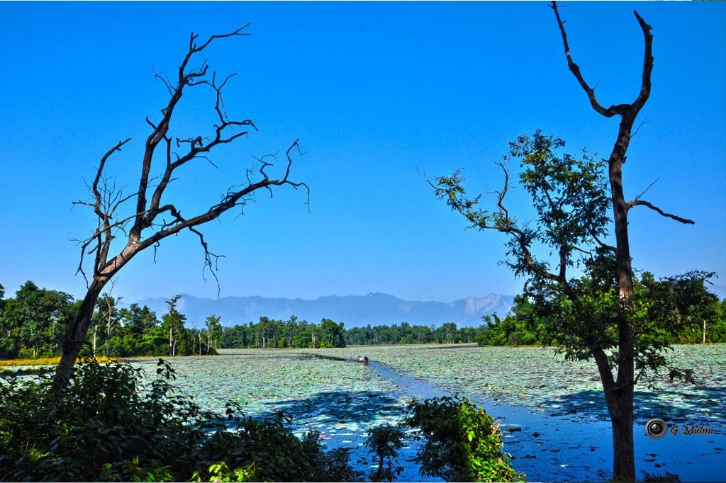 Best Hotel Opera in Kanchanpur Shuklaphata National Park